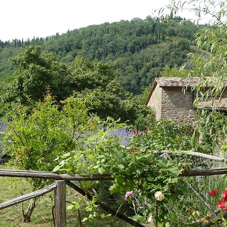 Villa Il Capriolo San Cerbone Exterior foto